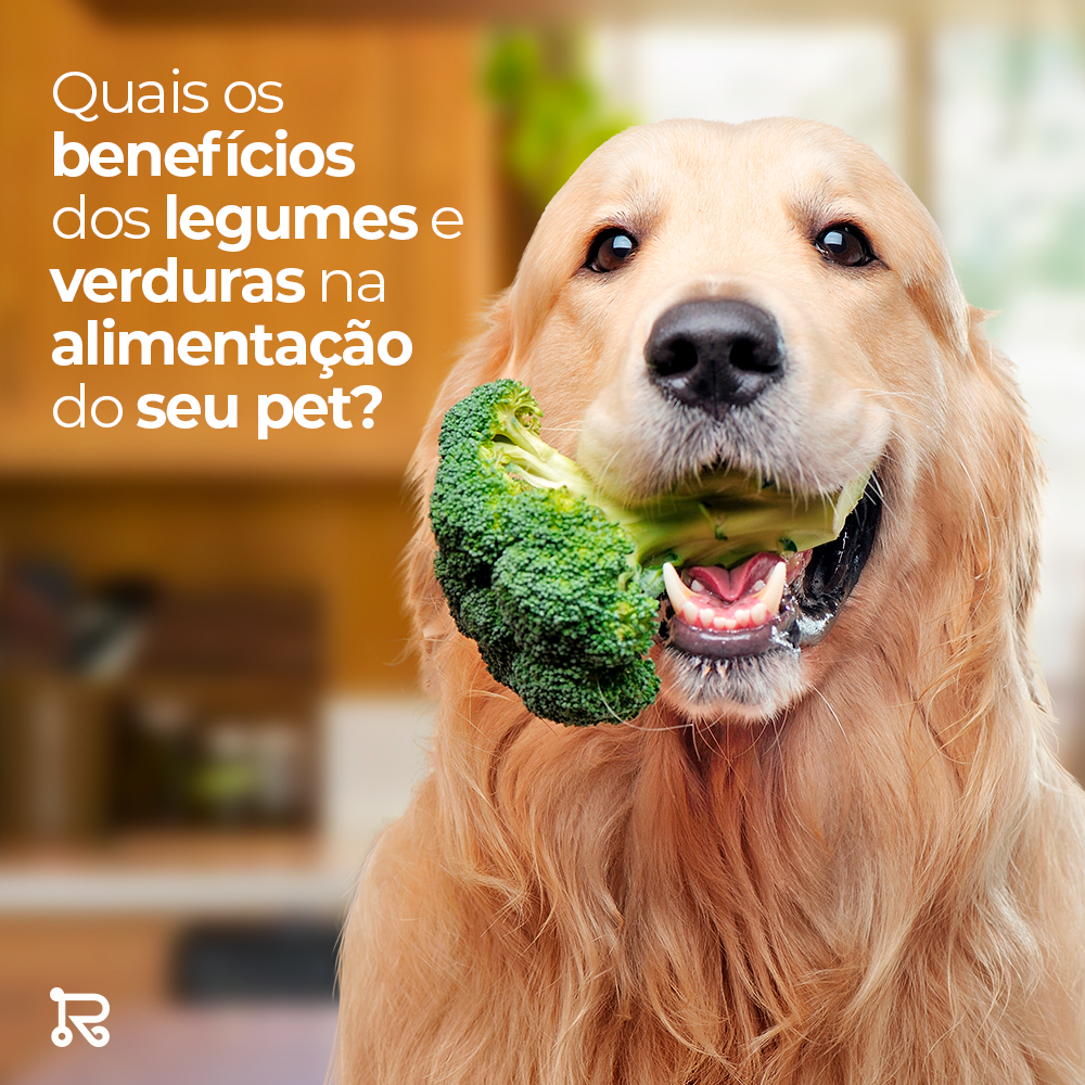 Legumes e verduras para os PETs
